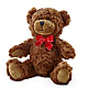 Adorable Plush Bear – Salisbury Flower Shop, Salisbury NC