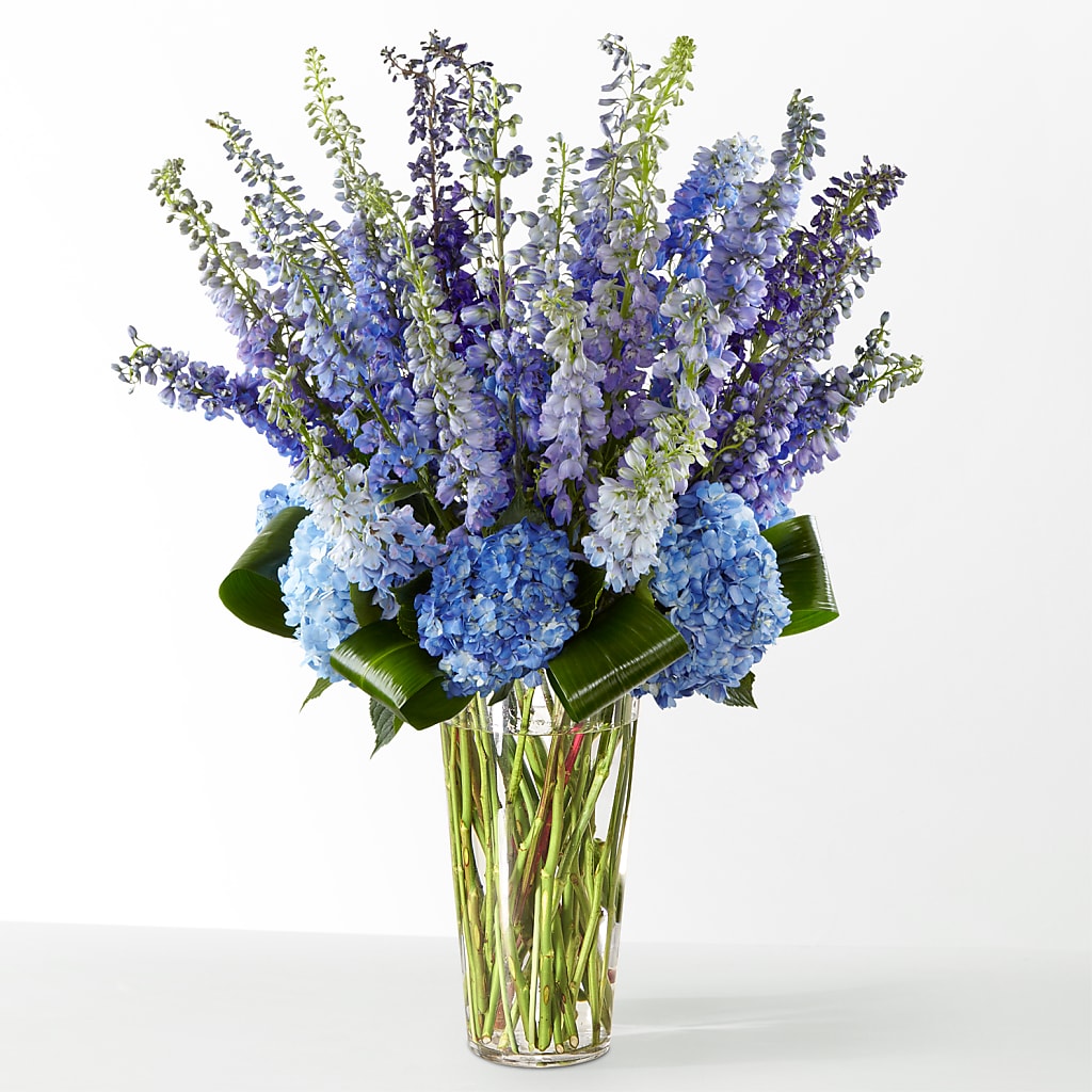 The Editorial –  Salisbury Flower Shop, Salisbury NC